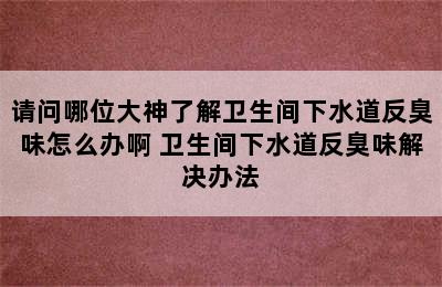 请问哪位大神了解卫生间下水道反臭味怎么办啊 卫生间下水道反臭味解决办法